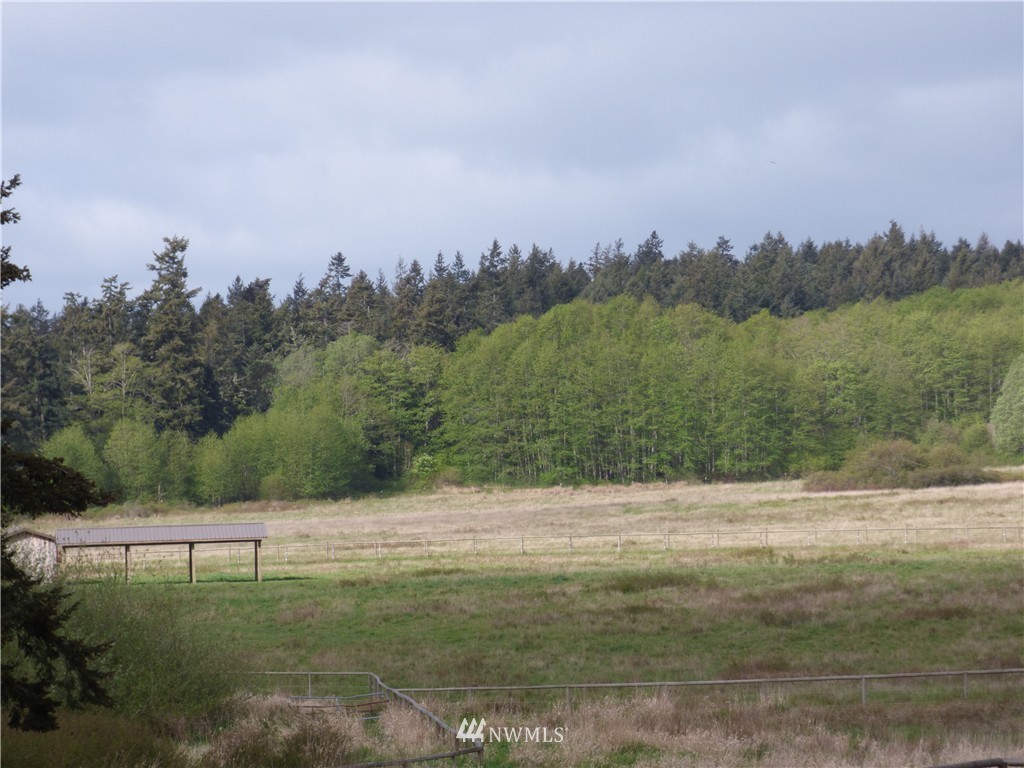 252 A Fieldstone Road Friday Harbor, WA 98250 - Photo 5 of 25 Gallery Image 5
