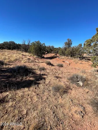 $20,499 | 8571 Lawson Lane, Snowflake, AZ 85937