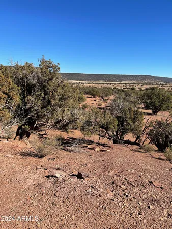 $20,499 | 8571 Lawson Lane, Snowflake, AZ 85937