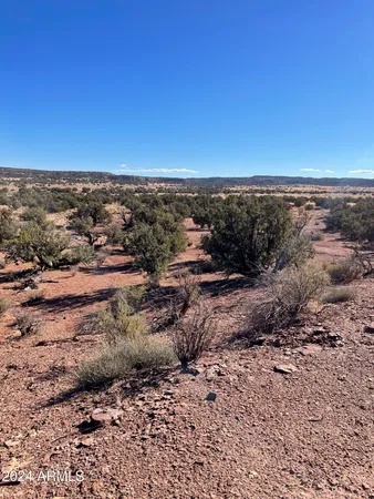 $20,499 | 8571 Lawson Lane, Snowflake, AZ 85937