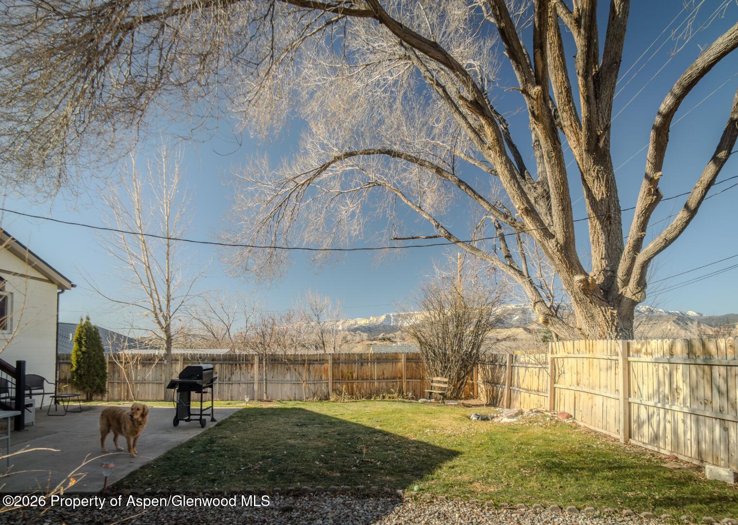 326 East 10th Street Rifle, CO 81650 - Photo 31 of 39 a view of outdoor space yard and patio