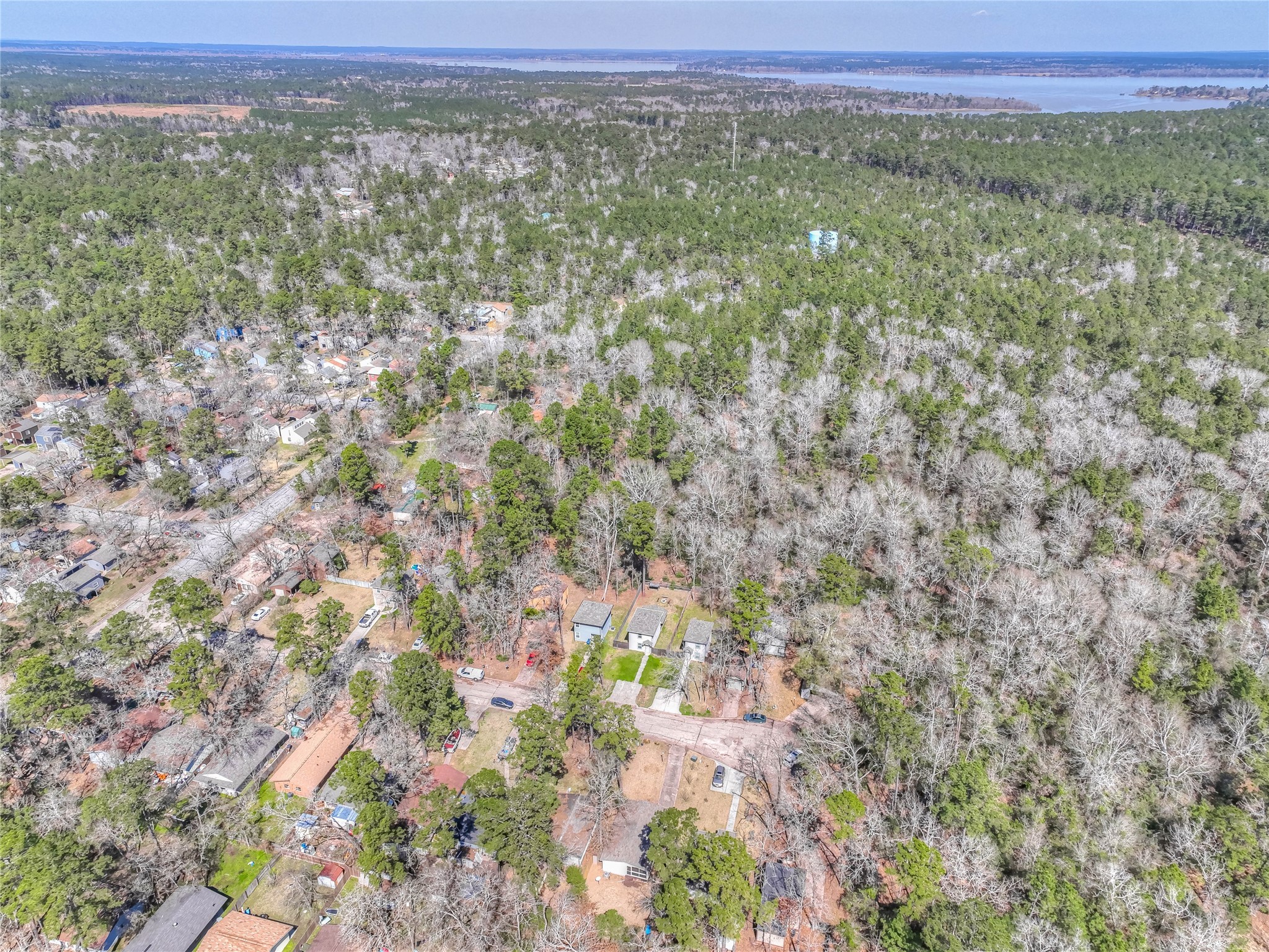 28609 Netawake Court Point Blank, TX 77364 - Photo 29 of 32 a view of a city with lush green forest