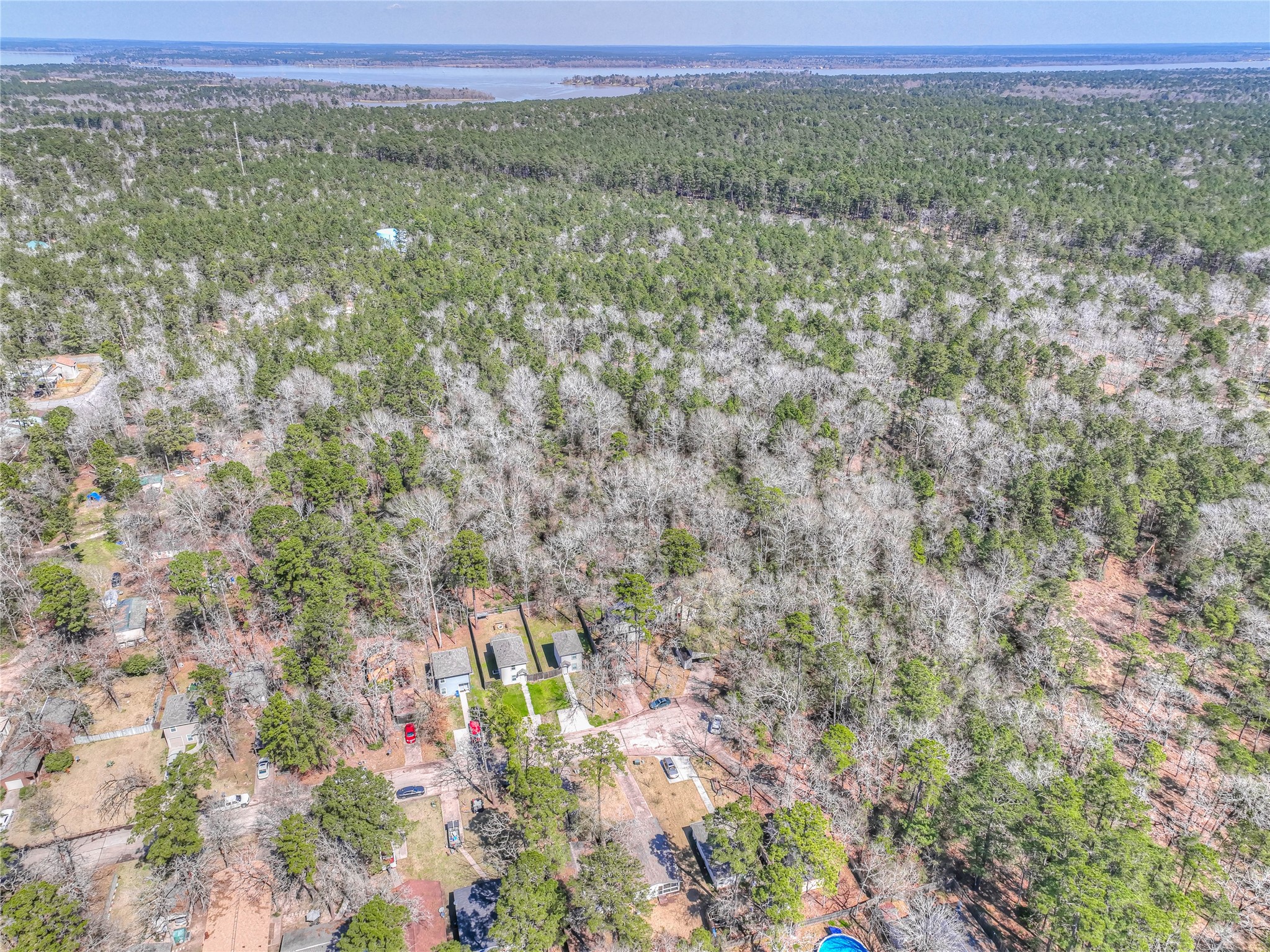 28609 Netawake Court Point Blank, TX 77364 - Photo 30 of 32 a view of a lush green forest with trees and a houses