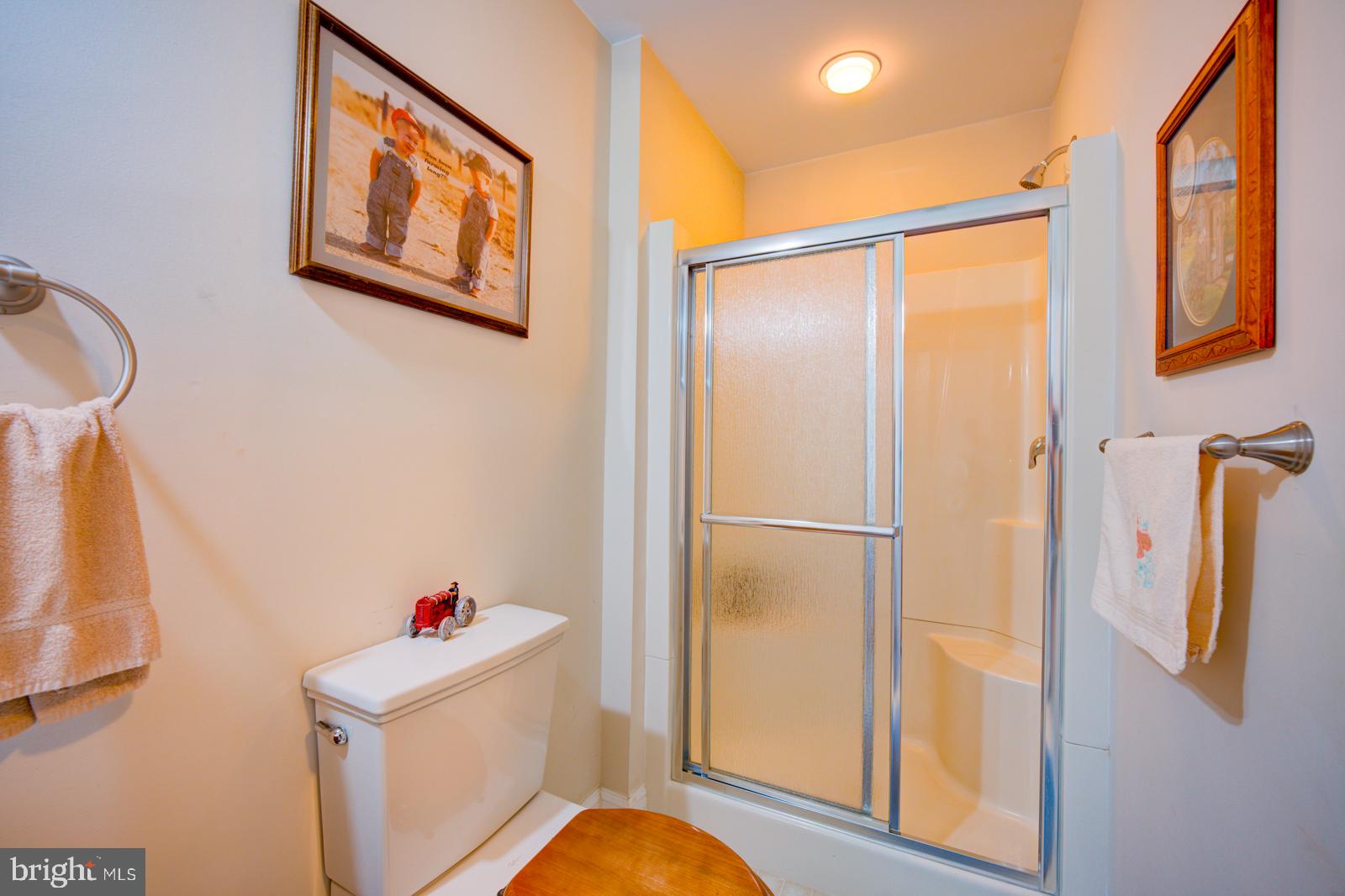 6542 Pine Stake Road Culpeper, VA 22701 - Photo 48 of 113 Cozy bathroom with modern amenities.