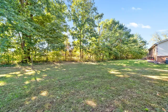 a view of yard with green space