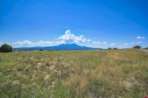 a view of a big yard