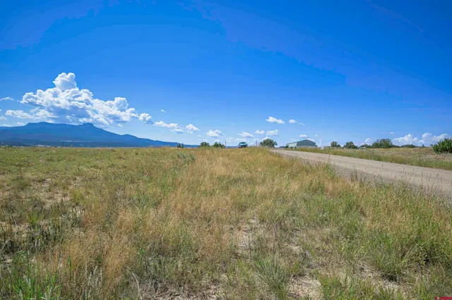 a view of a lake in middle of a field