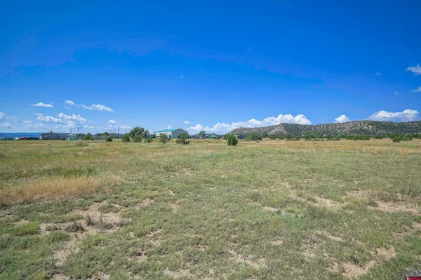 a view of a yard with lake view