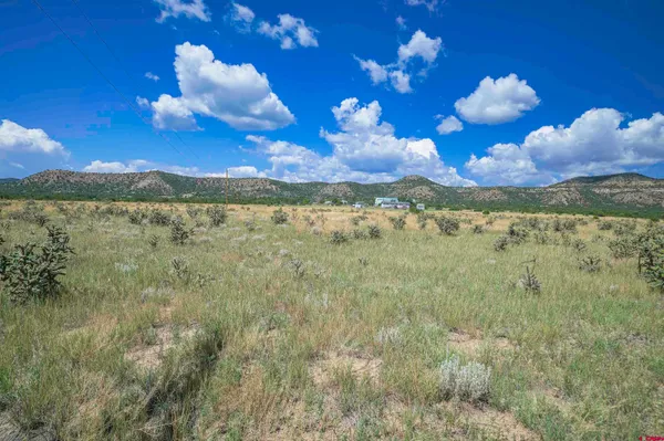 a view of a pool in a yard