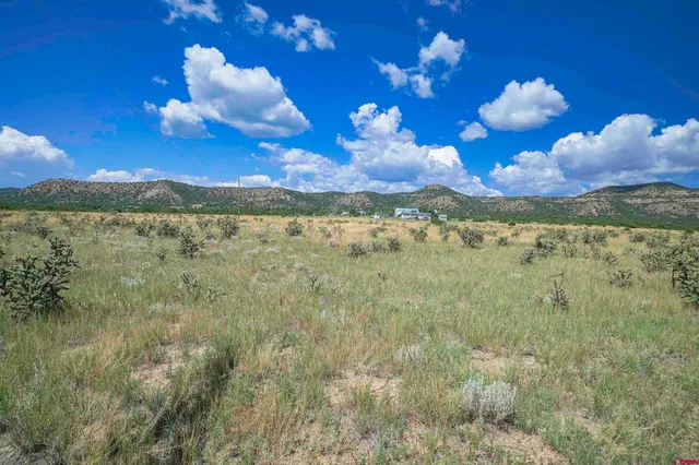 a view of a pool in a yard