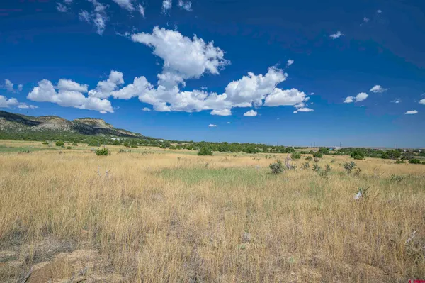 a view of a lake with a building in the background
