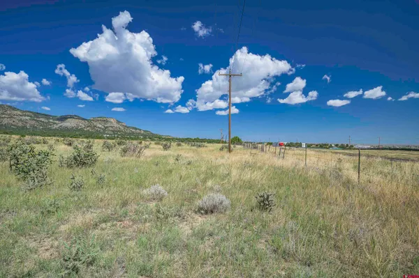 a view of a yard with a swimming pool
