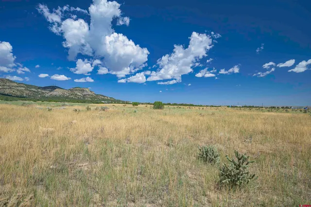 a view of a pathway with a lake