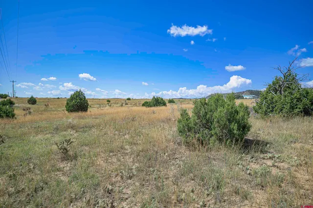 a view of a lake from a yard