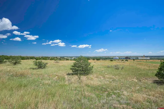 a view of a room with a large tree