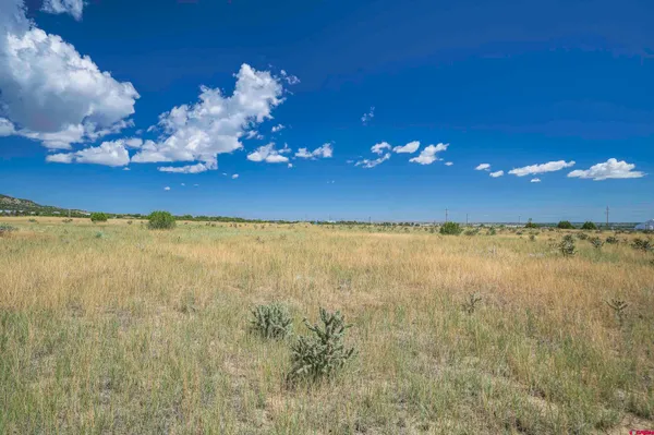 a view of an ocean from a yard