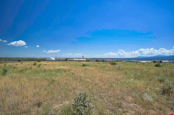 a view of a house with a yard and a large tree