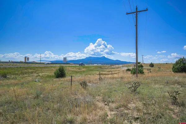 a view of a swimming pool with a yard