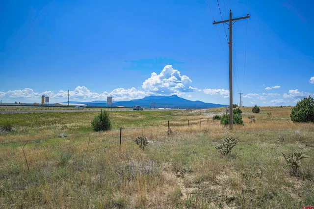 a view of a swimming pool with a yard