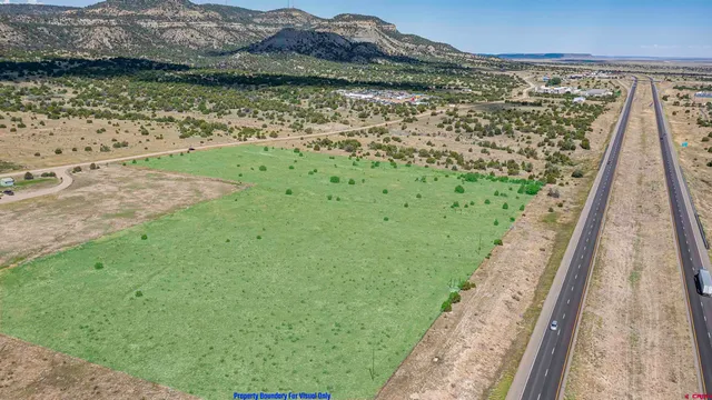 a room with a fireplace and a rug