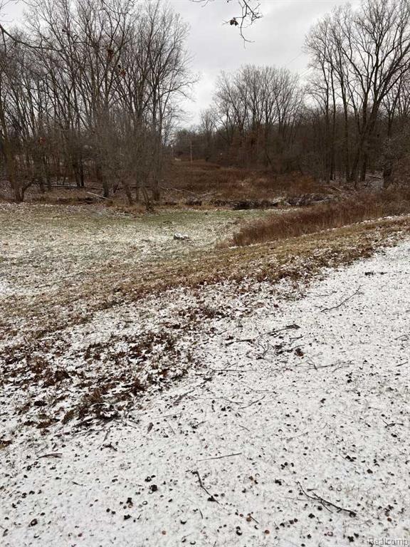 1450 Peet Road Montrose, MI 48457 - Photo 26 of 44
