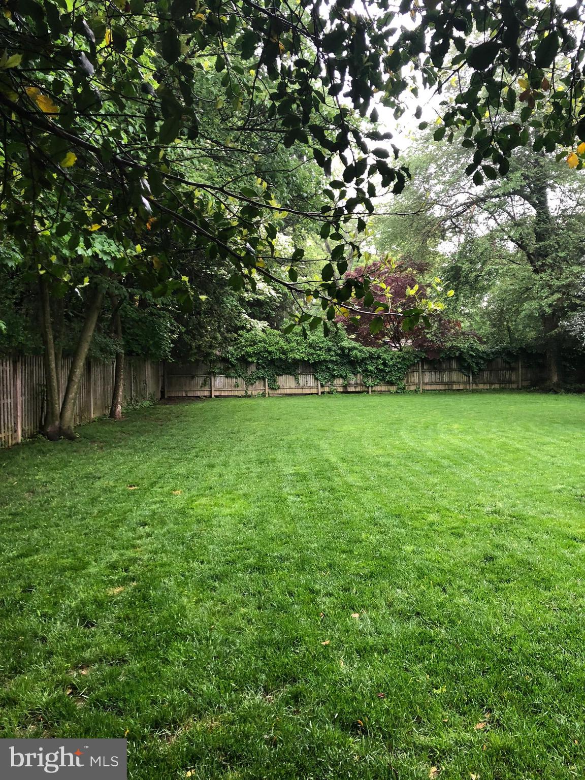 219 Rices Mill Road Wyncote, PA 19095 - Photo 3 of 35 Large Private Garden