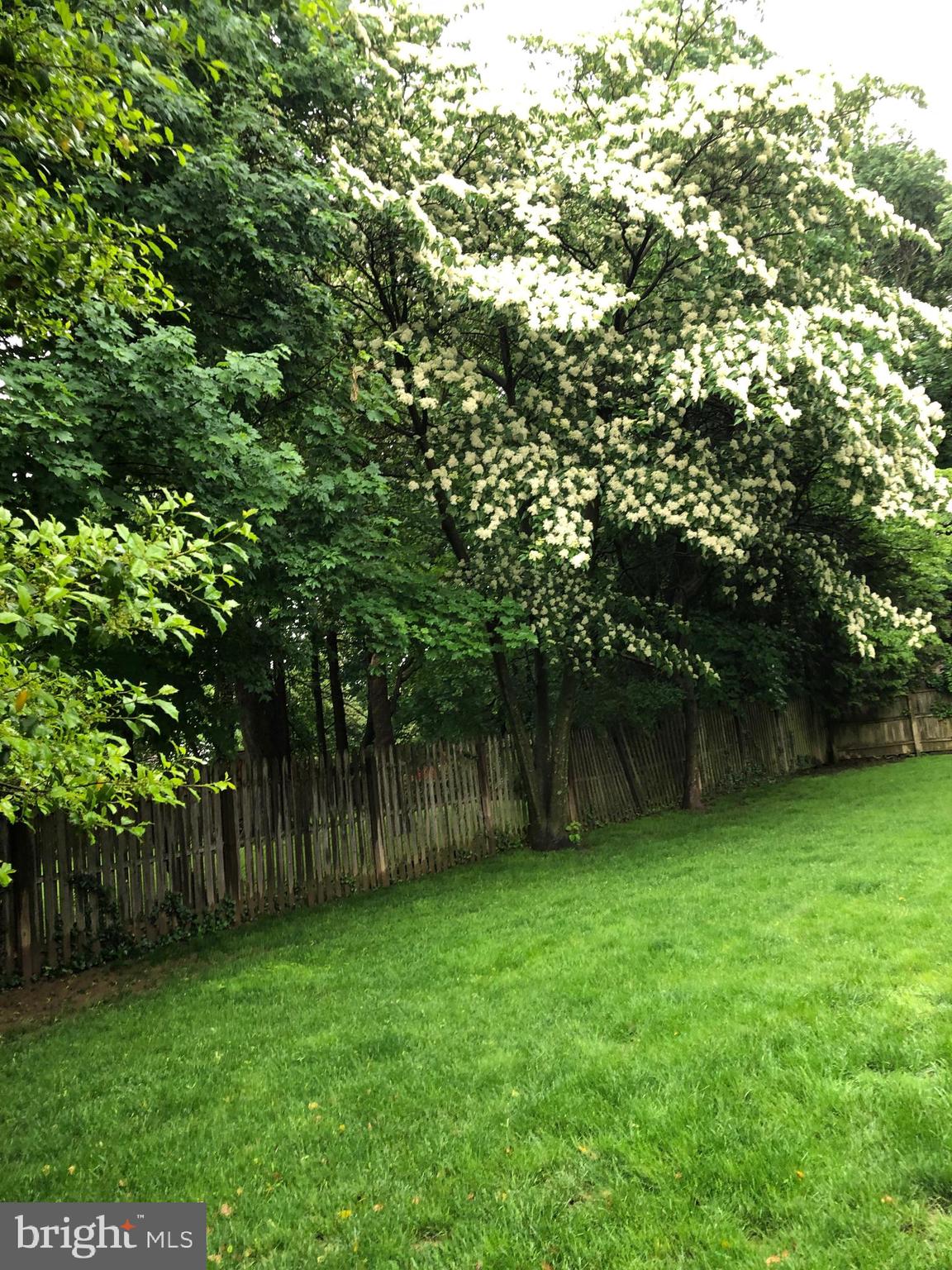 219 Rices Mill Road Wyncote, PA 19095 - Photo 31 of 35 Private Garden