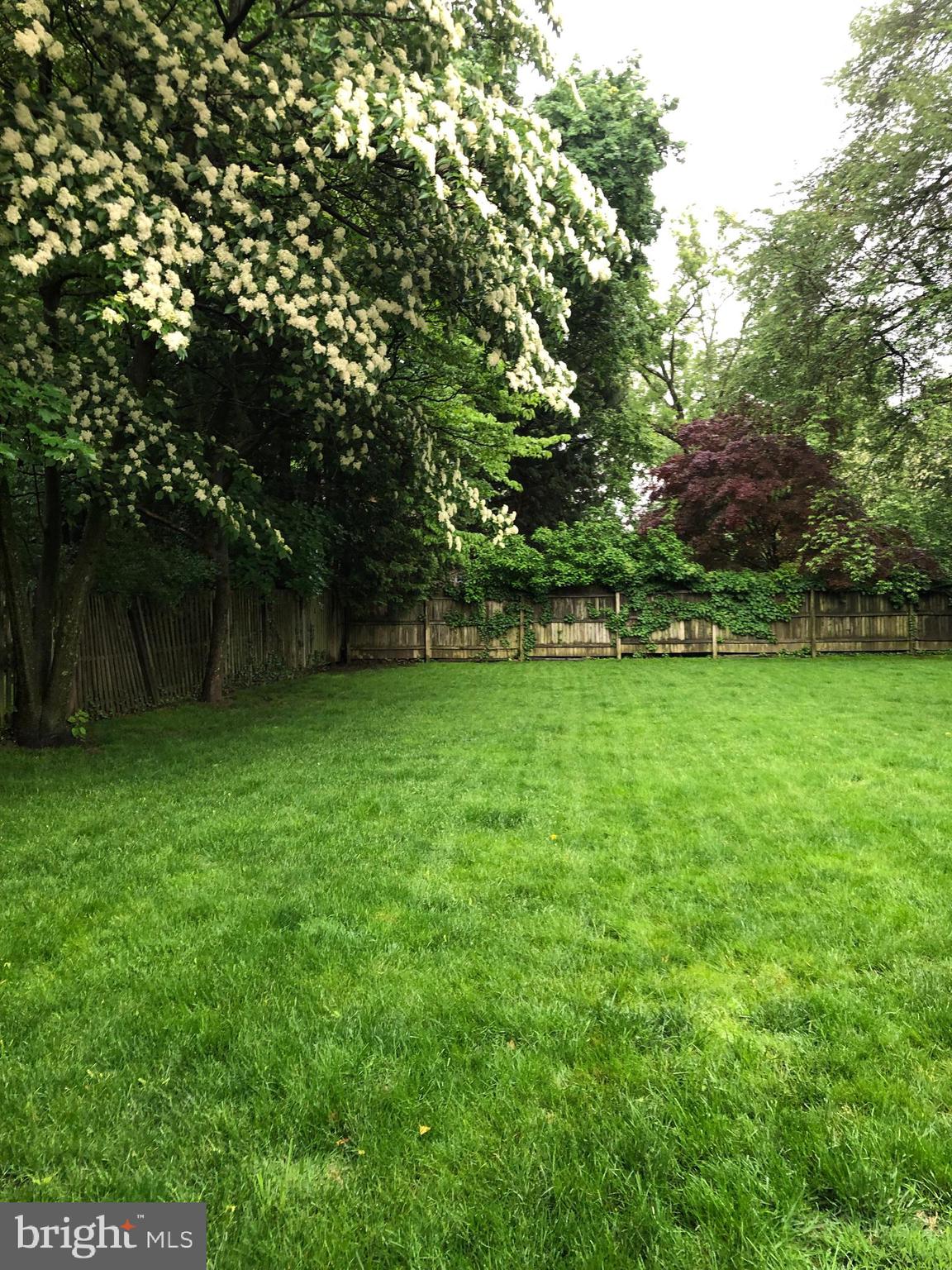 219 Rices Mill Road Wyncote, PA 19095 - Photo 32 of 35 Private Garden