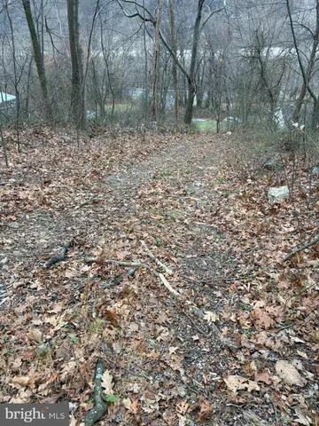 a view of backyard with trees