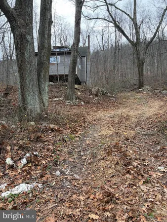 a view of a back yard