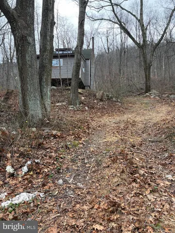 a view of a back yard