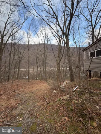 a backyard of a house with large trees