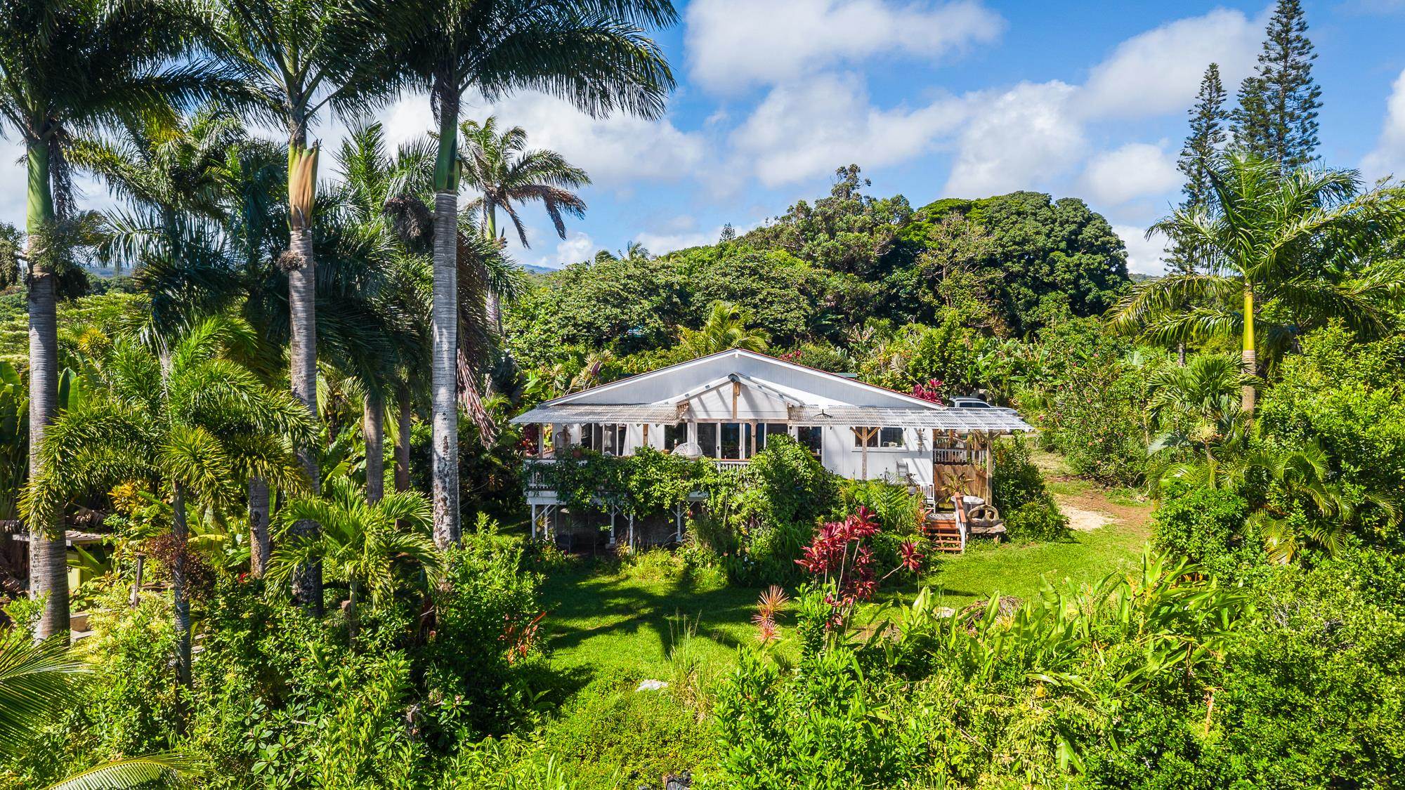 7953 Hana Highway Haiku, HI 96708 - Photo 28 of 46