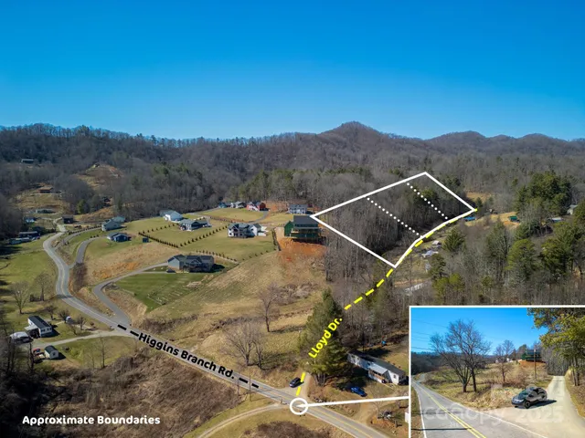 a view of a yard with large trees