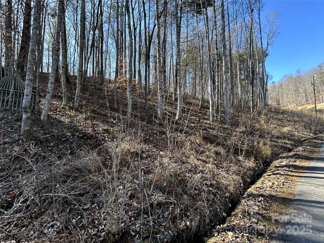 a view of a yard with trees