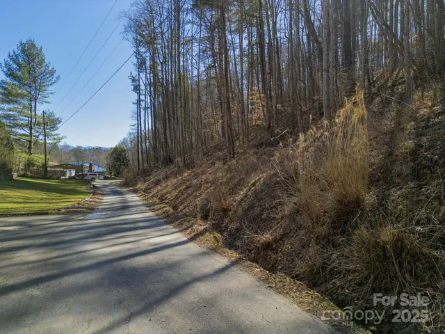 $160,000 | 99999 Lloyd Drive, Unit 3C 3B 3A, Mars Hill, NC 28754
