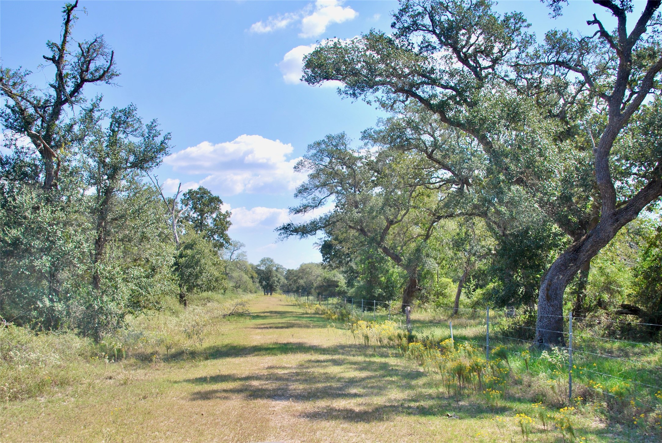 3033 County Road 18 Hallettsville, TX 77964 - Photo 35 of 50