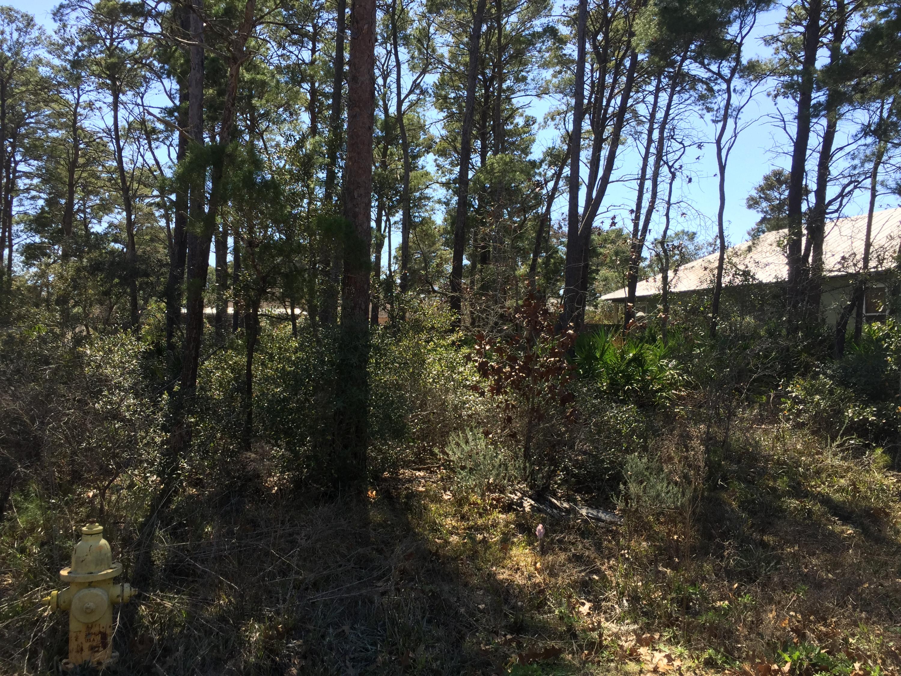 Lot 3 Walnut Street Santa Rosa Beach, FL 32459 - Photo 1 of 6
