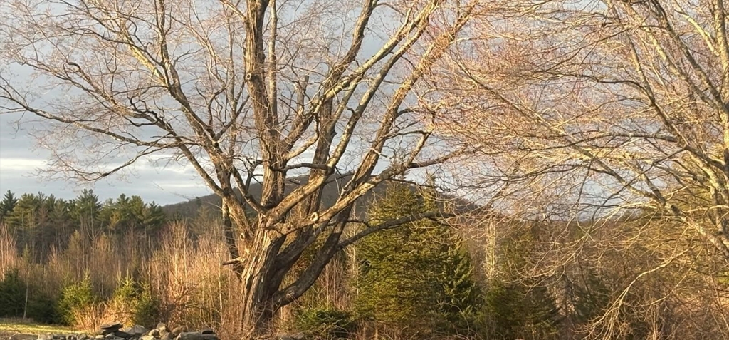 96 Stafford Hollow Road Monson, MA 01057 - Photo 4 of 39