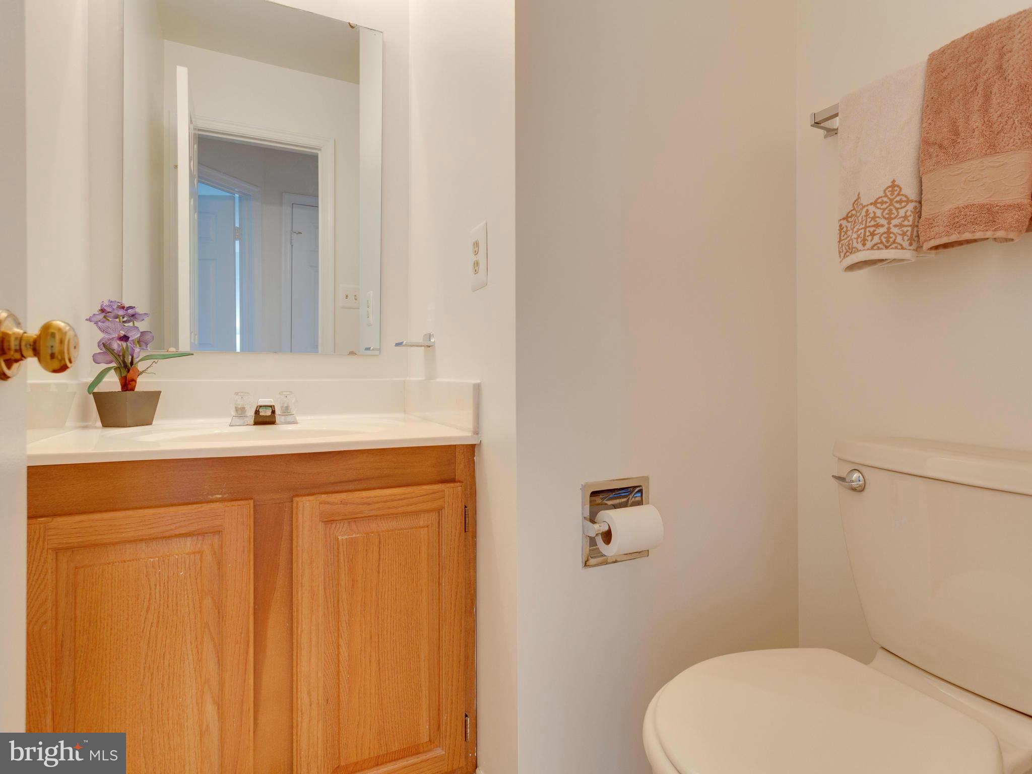 7423 Ridge Oak Court Springfield, VA 22153 - Photo 12 of 28 Bath