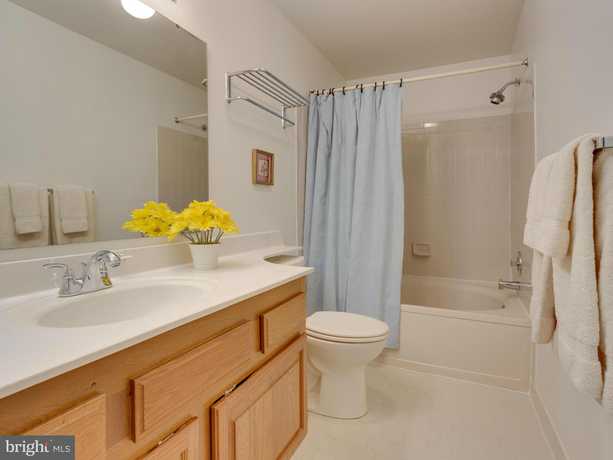 7423 Ridge Oak Court Springfield, VA 22153 - Photo 15 of 28 Bath (Master)