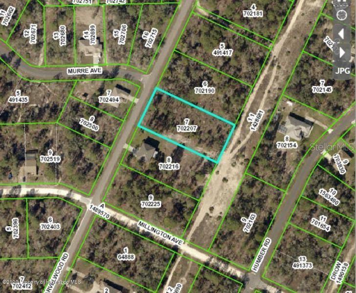 7 Marvelwood Road Weeki Wachee, FL 34614 - Photo 1 of 1 Gallery Image 1