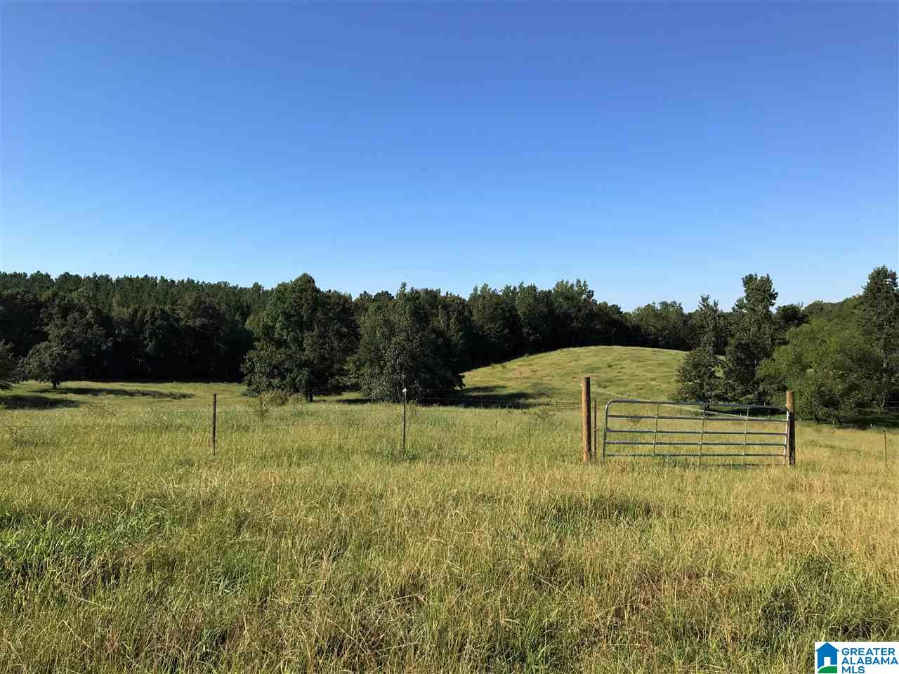 5425 East Mill Road Lineville, AL 36266 - Photo 35 of 50