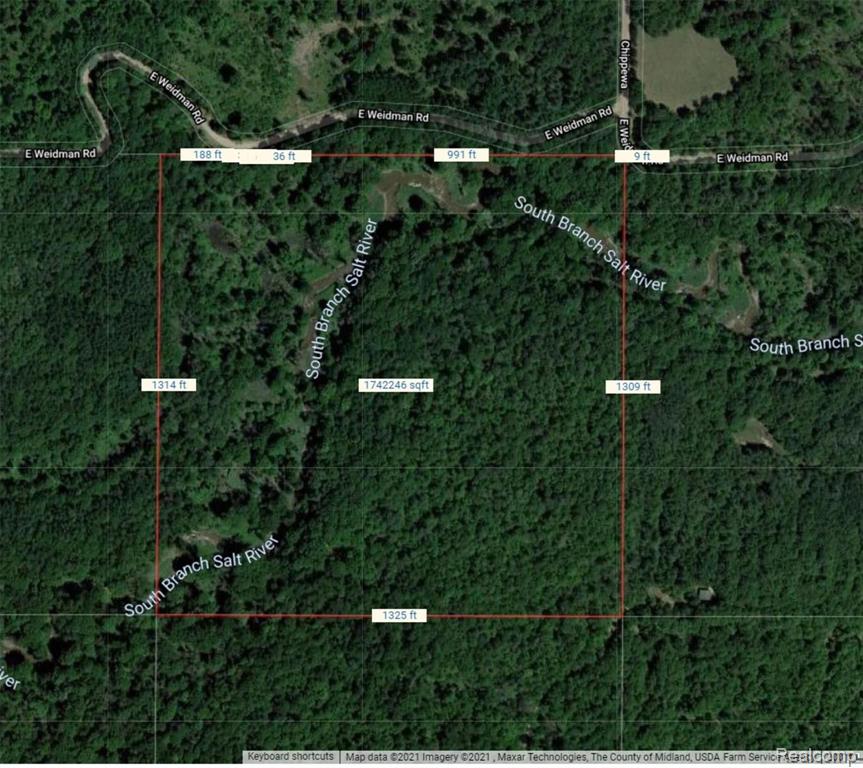 0 East Weidman Road Coleman, MI 48618 - Photo 1 of 1