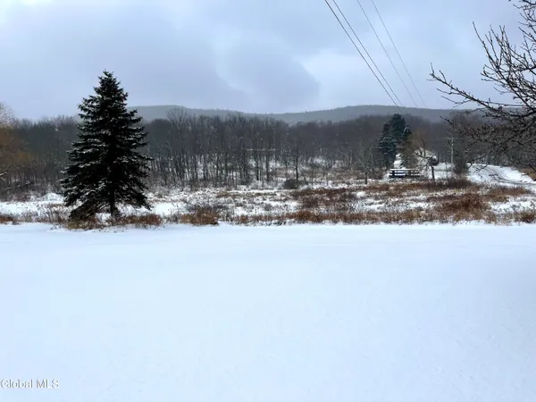 $200,000 | 693 Highway 10, Jefferson, NY 12167