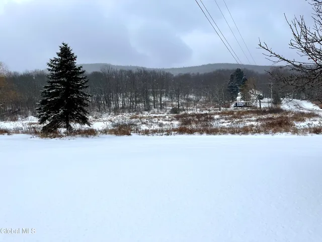 $204,999 | 693 Highway 10, Stamford, NY 12167