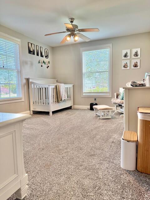 13773 Saubee Road Lake Odessa, MI 48849 - Photo 37 of 78 7