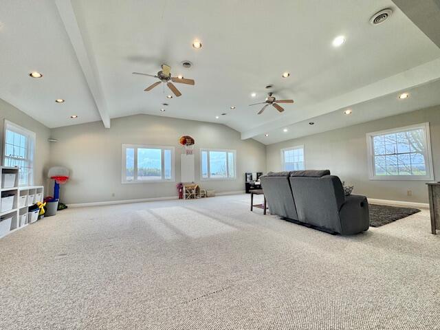 13773 Saubee Road Lake Odessa, MI 48849 - Photo 56 of 78 54