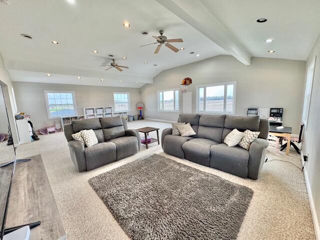 13773 Saubee Road Lake Odessa, MI 48849 - Photo 57 of 78 55