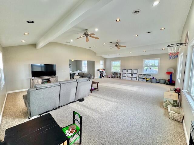 13773 Saubee Road Lake Odessa, MI 48849 - Photo 59 of 78 57